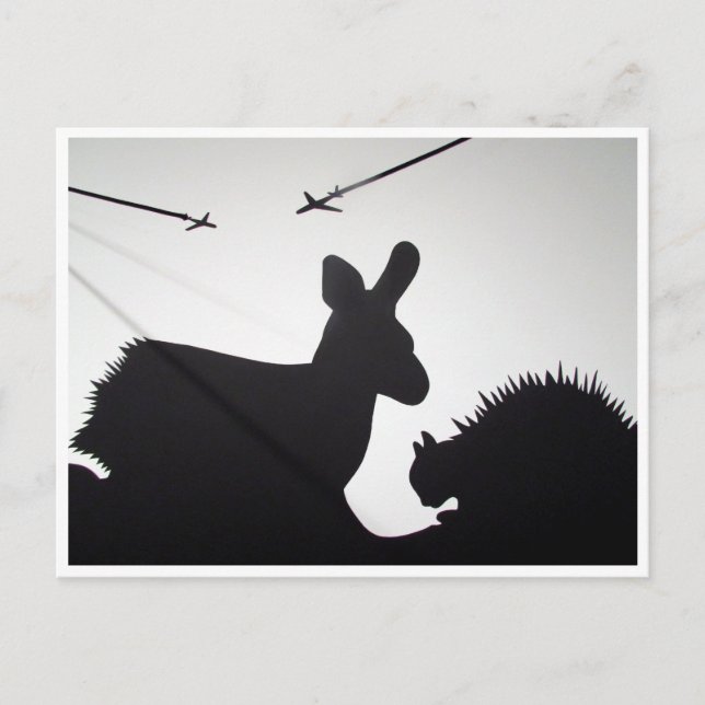 animal flights postcard (Front)