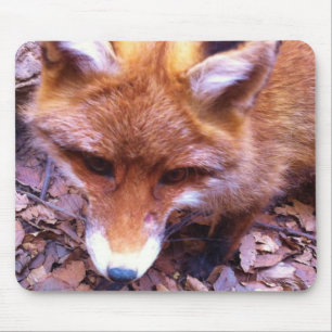 Animal Fox Forest Office Party Shower Digital Art Mouse Mat