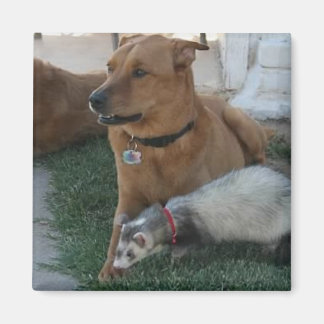 Animal Friends Magnet with Ferret and the Dog!