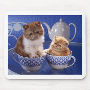 animal friendship mouse mat