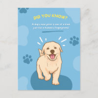 Animal Fun Fact Postcards