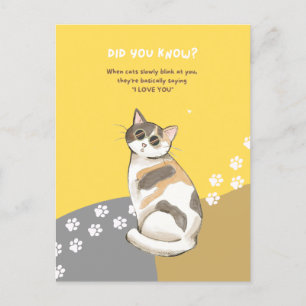 Animal Fun Fact Postcards