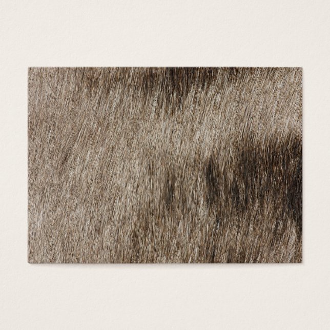 Animal fur texture (Front)