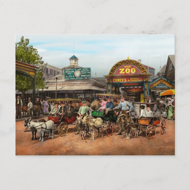 Animal - Goats - Coney Island NY - Kid rides 1904 Postcard (Front)