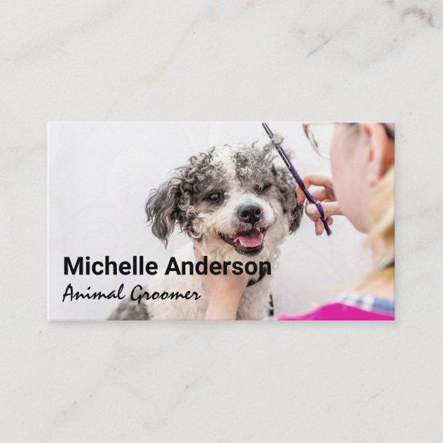 Animal Groomer Cutting Dog Hair Business Card (Front)