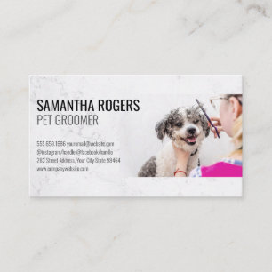 Animal Groomer Dog Grooming Appointment Card