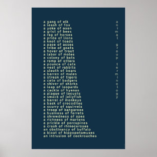 Animal Group Terminology Poster