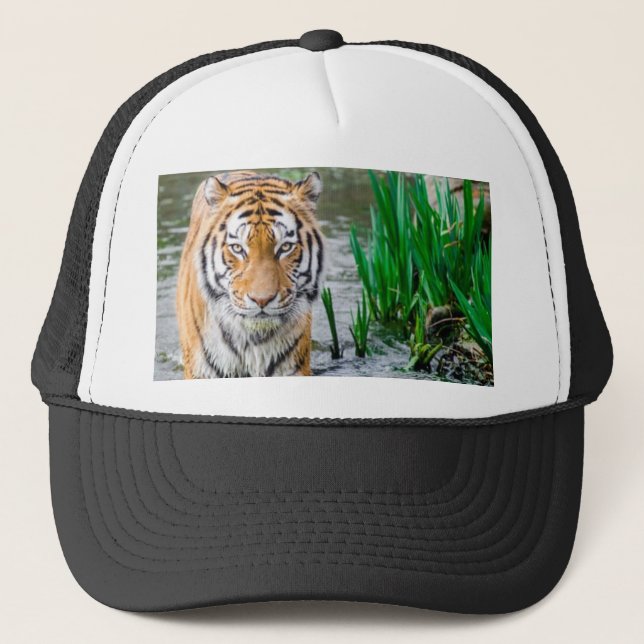 Animal, hat, for sale ! trucker hat (Front)