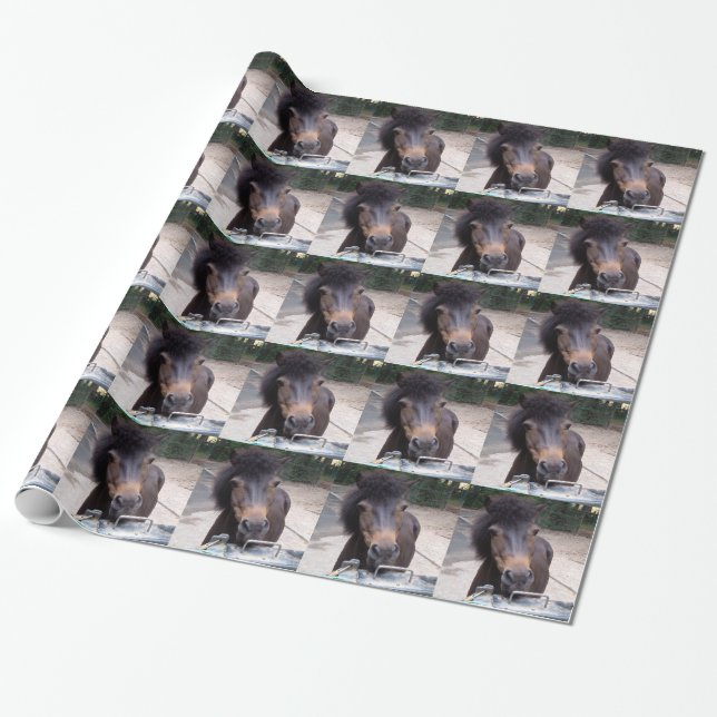 Animal, Horse, Pony Wrapping Paper (Unrolled)