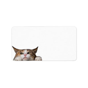 "Animal Hospital" Label