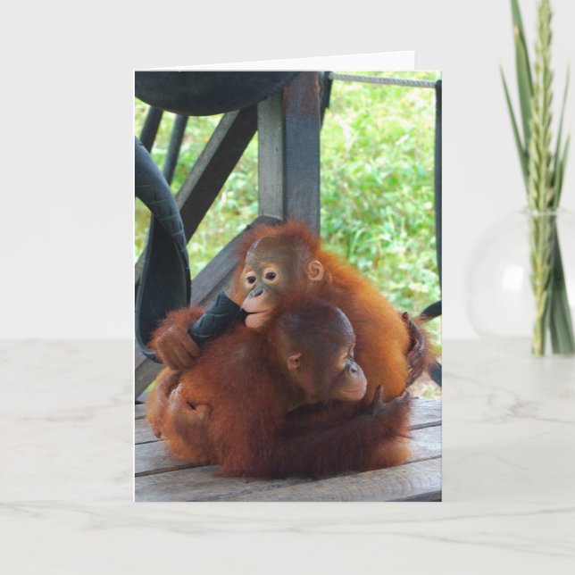 Animal Hugs Orangutan Baby Card (Front)