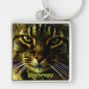 Animal Hypnotising Cat Eyes Photo Key Ring