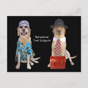 Animal/Lab/Dog Behaviour Study Postcard