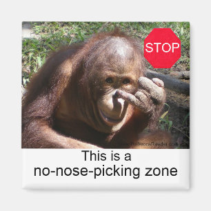 Animal Life Lessons #1 Magnet