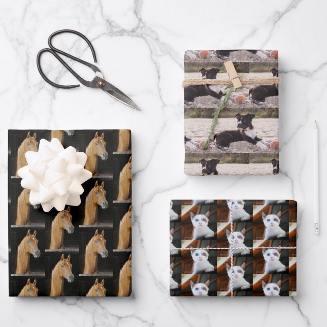 Animal Lover Pet Photos Wrapping Paper Sheet (Front)