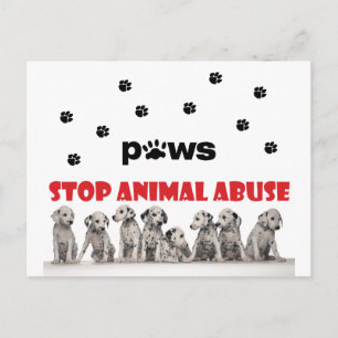Animal Lover Postcard