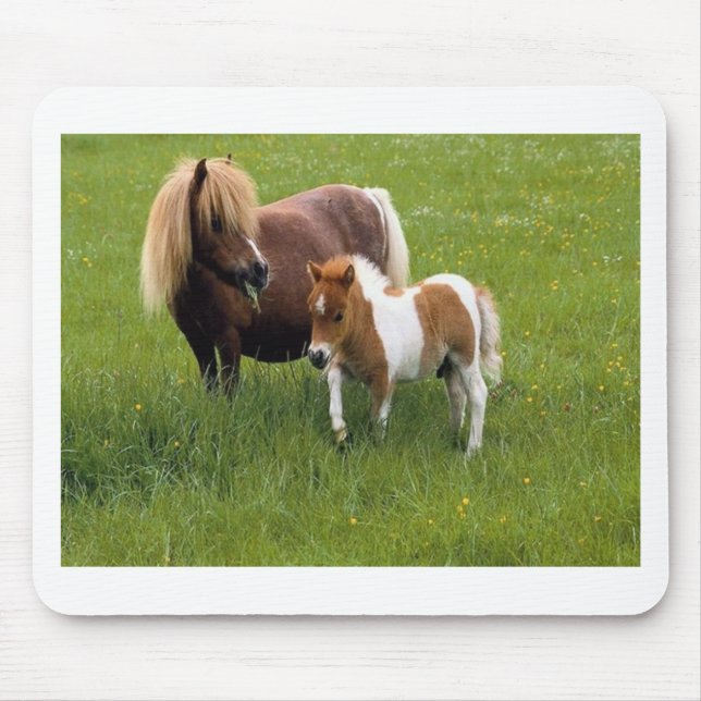 Animal Mothers and Babies (17) Mouse Mat (Front)