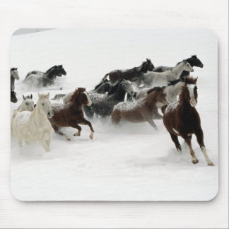 Animal mouse pad 27