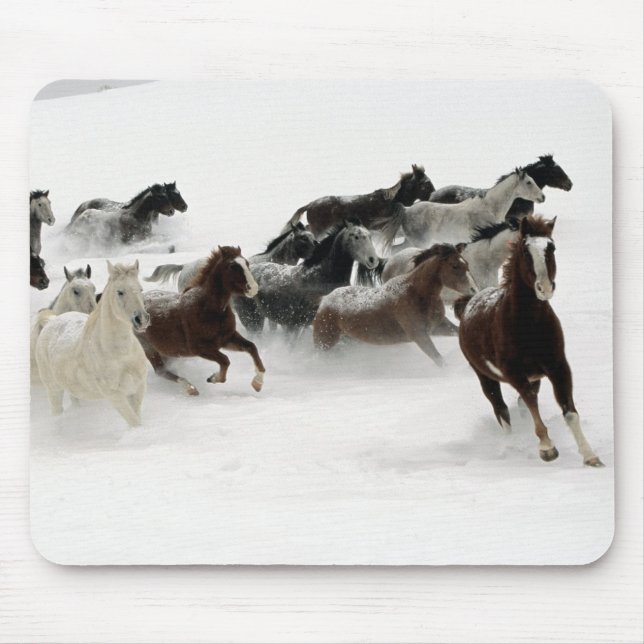 Animal mouse pad 27 (Front)