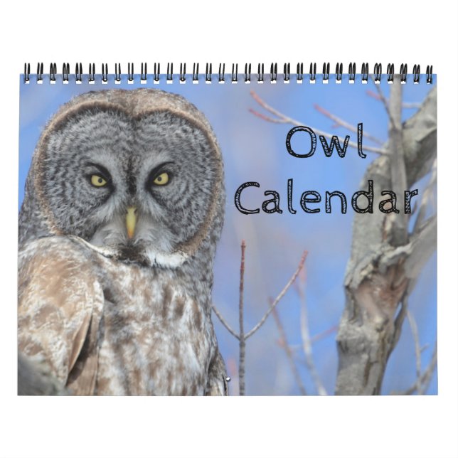 Animal Owl Bird Life Office Home Destiny'S Destiny Calendar (Cover)