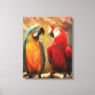 Animal - Parrot - We'll always have parrots Canvas Print