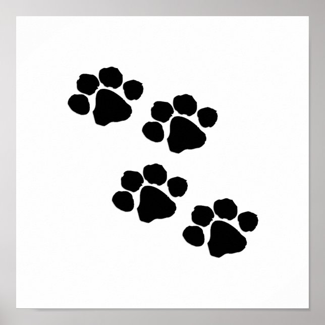 Animal Paw Prints (Front)