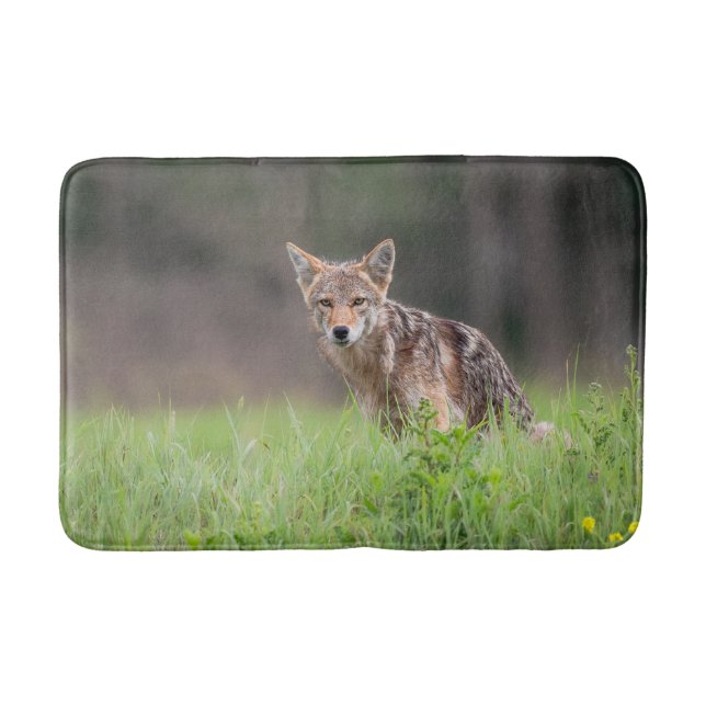 Animal Photography, Brown Coyote Bath Mat (Front)