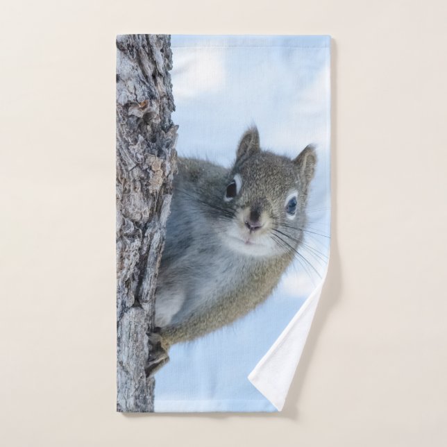 Animal Photography, Curious Squirrel Hand Towel (Hand Towel)