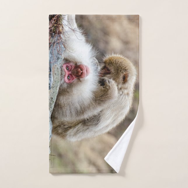 Animal Photography, Macaque Monkey Hand Towel (Hand Towel)