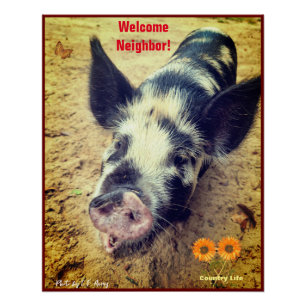 Animal Pig - Country Life Poster