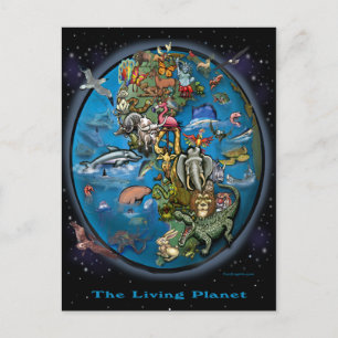 Animal Planet Postcard