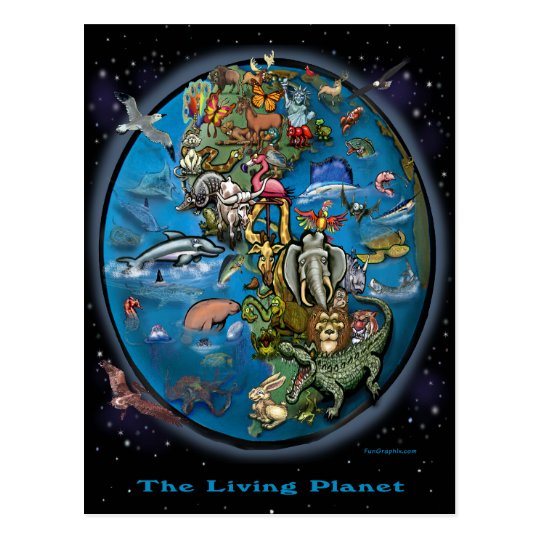 Animal Planet Postcard