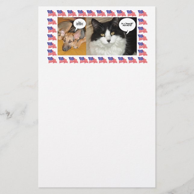 Animal Politics Election 2016 (Front)