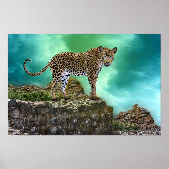 Animal Portrait Wild Cat Poster (Front)