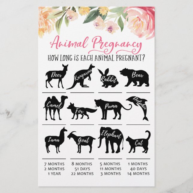 Animal Pregnancy with Answers Baby Shower Game (Front)