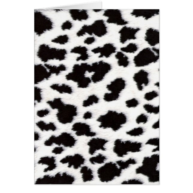 Animal Print 3 (Front)