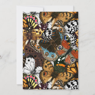 Animal print. Butterfly wings.