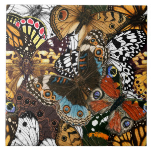 Animal print. Butterfly wings. Tile