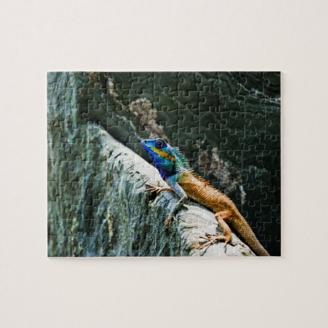 animal puzzles (Horizontal)