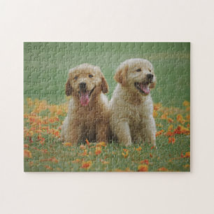 Animal Puzzles Animal Pic Cute Sad Puppy Puppy Pho