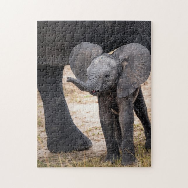 Animal Puzzles Mother and Baby Animal Elephant Pho (Vertical)