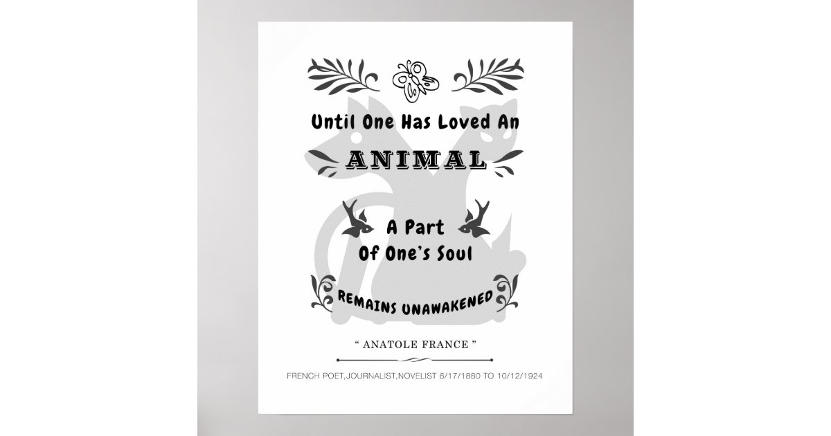 Animal Quote Poster Zazzle
