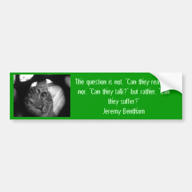 Animal quotes - Jeremy Bentham 2 bumper sticker (Front)