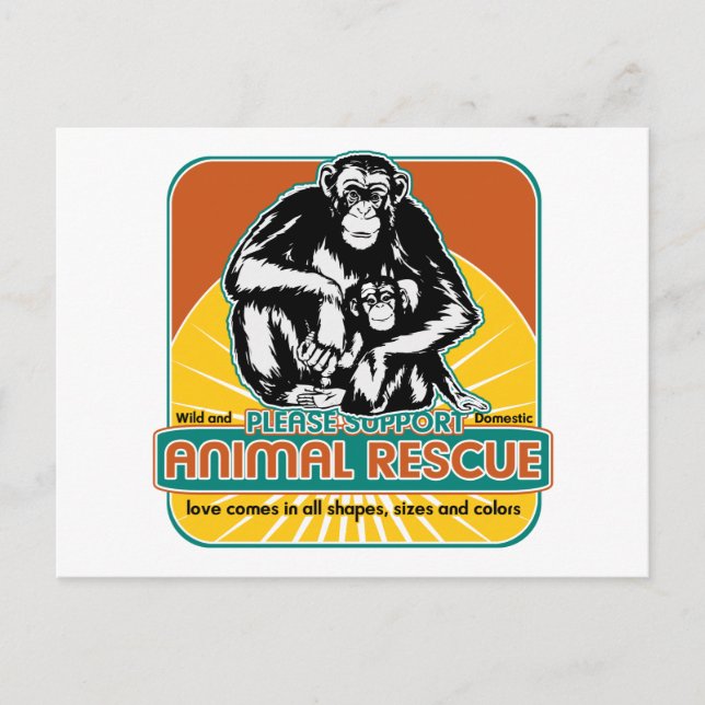 Animal Rescue Chimpanzee Postcard (Front)