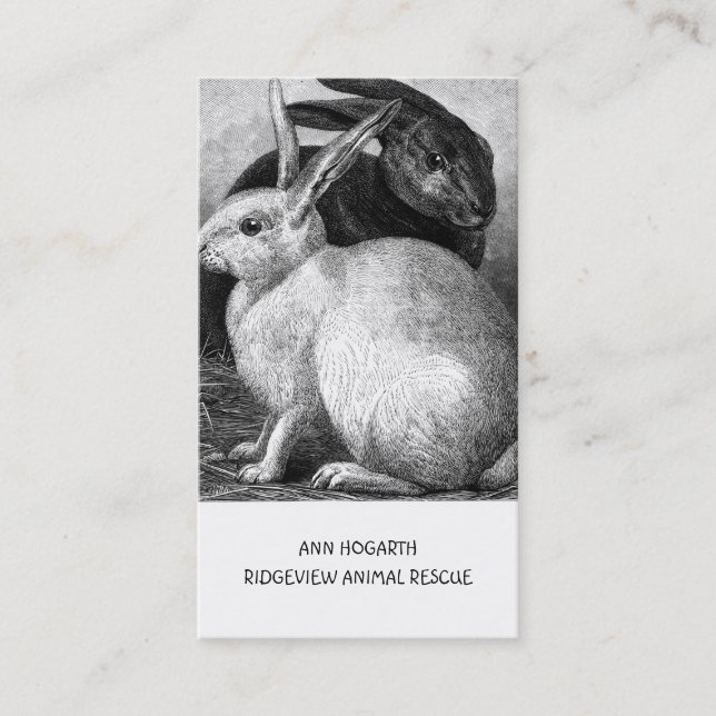 Animal Rescue Or Shelter Business Card (Front)