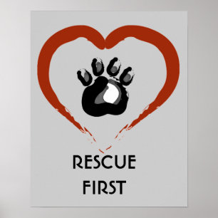 Animal Rescue poster