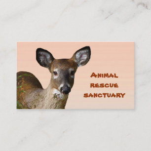 Animal Rescue Sanctuary Business Card