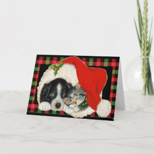 Animal Rescue Santa Card