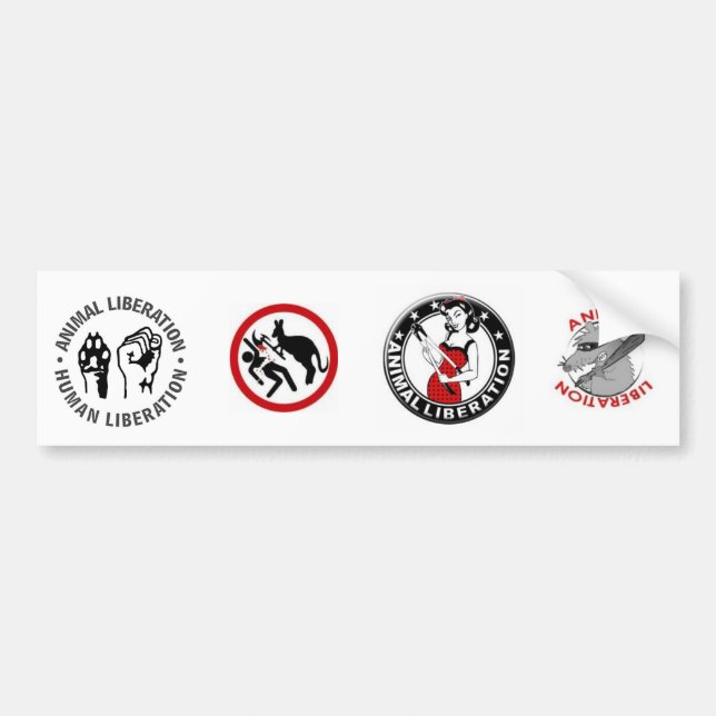 Animal Rights (4 in 1) Bumper Sticker (Front)
