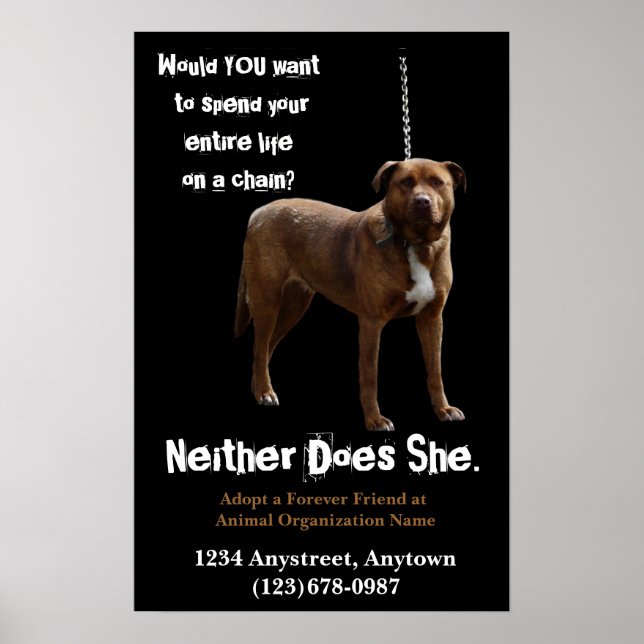 Animal Rights  Adoption and Rescue Poster (Front)
